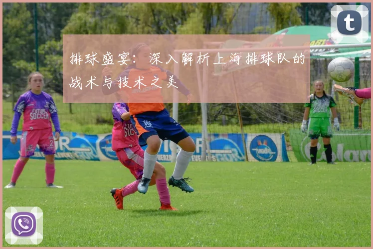 排球盛宴：深入解析上海排球队的战术与技术之美