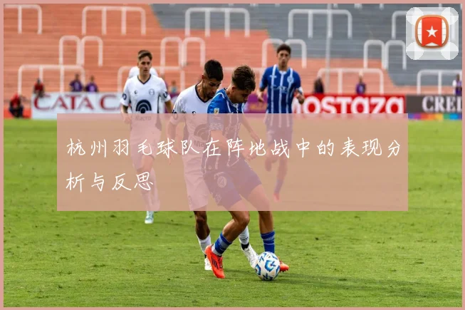 杭州羽毛球队在阵地战中的表现分析与反思