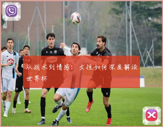从战术到情感：女性如何深度解读世界杯