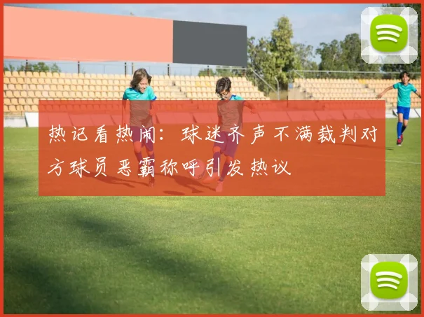 热记看热闹：球迷齐声不满裁判对方球员恶霸称呼引发热议