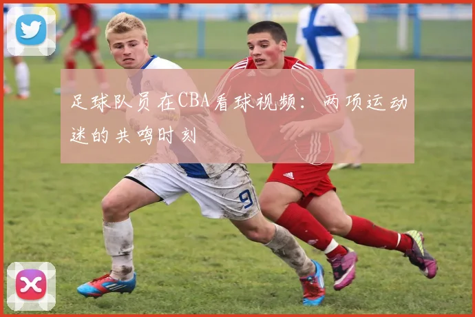 足球队员在CBA看球视频：两项运动迷的共鸣时刻