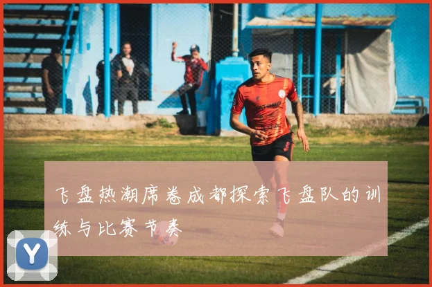 飞盘热潮席卷成都探索飞盘队的训练与比赛节奏